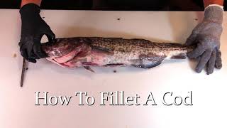 How to Fillet a Cod