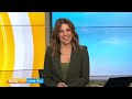The luxury six-course degustation for felines | Today Show Australia