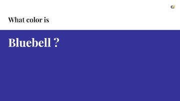 Bluebell color #333399 hex color - Violet color - Warm color 333399