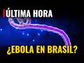 🔥 ÚLTIMA HORA: ¿AUMENTA ÉBOLA en BRASIL? AUMENTAN CASOS SOSPECHOSOS