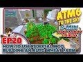 [ATM6: TO THE SKY] - How to use Pedestal Mod / Building an Auto Farm Upgrade - EP20