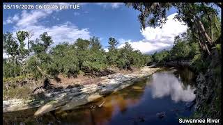 Suwannee River Live Stream