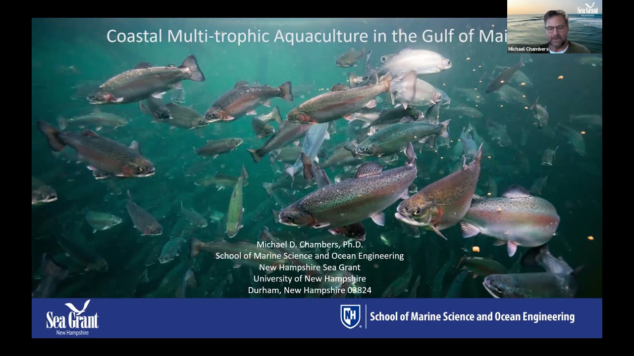 Integrated Multi Trophic Aquaculture - IMTA - Dr. Michael Chambers - University of New Hampshire