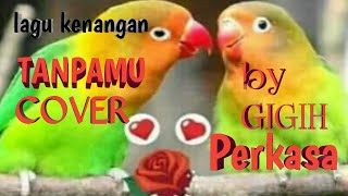 Download Lagu Tanpamu apalah artinya acustik cover by Gigih perkasa MP3
