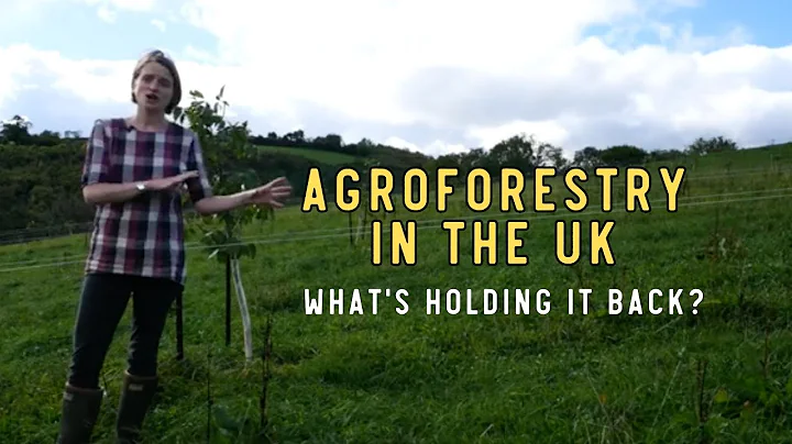 Agroforestry in the UK - What's holding it back?