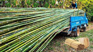Перспективы строительства: почему бамбук - идеальный материал