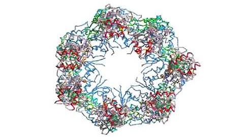 Allosteric transition dynamics of GroEL