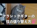 弦の張り替え方（クラシックギター）