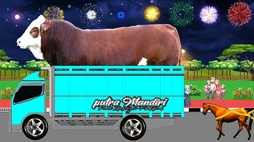 Wadidaw‼️Sapi Kurban Terbesar diangkut Truk Oleng Takbiran Keliling Idul Adha 2025