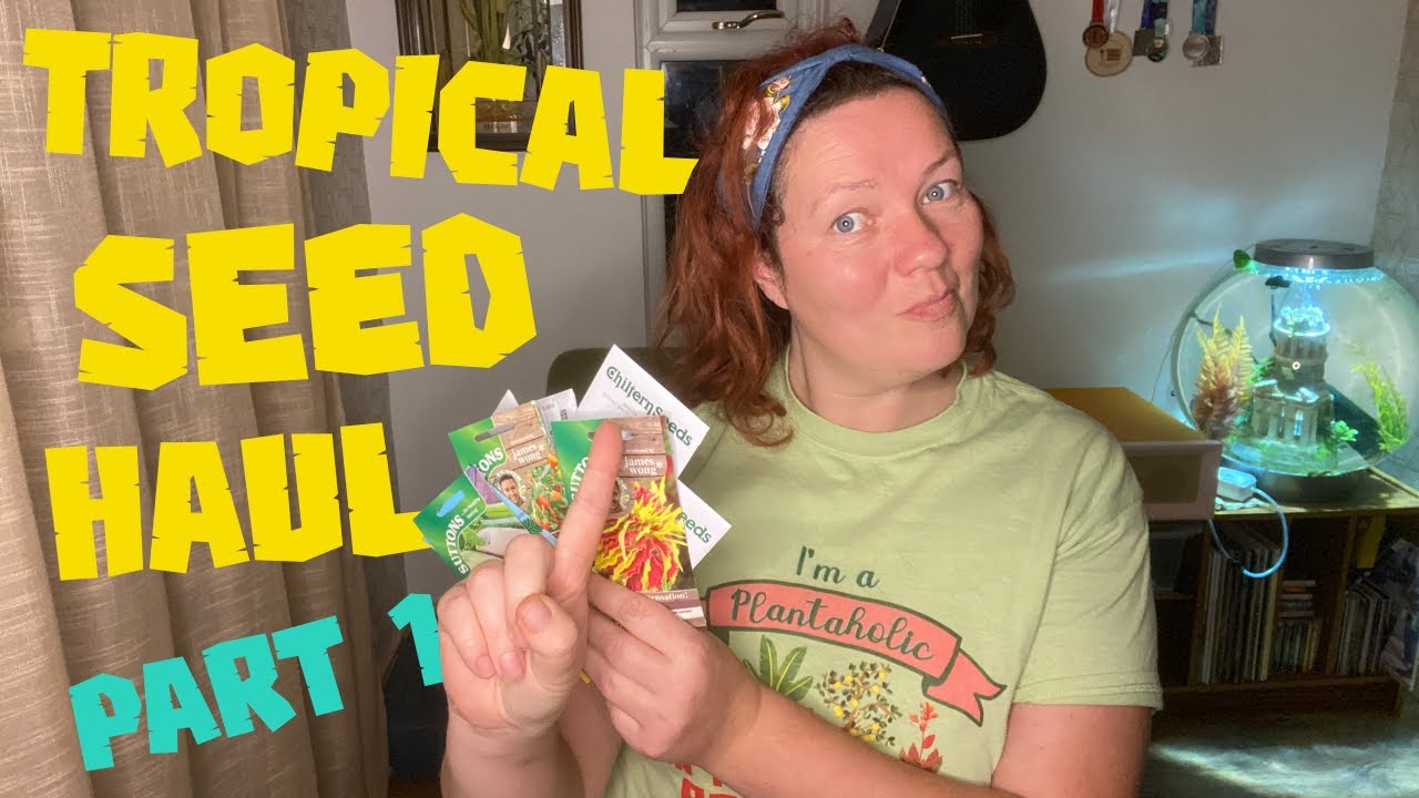 Could you grow a tropical garden from seed on a budget? 🦩💸  𝓅𝒶𝓇𝓉 𝑜𝓃𝑒🌴