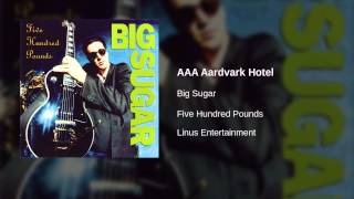 Video thumbnail of "Big Sugar - AAA Aardvark Hotel"