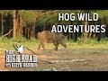 Hog Wild | The High Road with Keith Warren