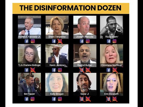 Tariq Nasheed: The Disinformation Dozen?