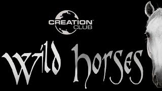 Skyrim Creation Club Wild Horses Locations And Review