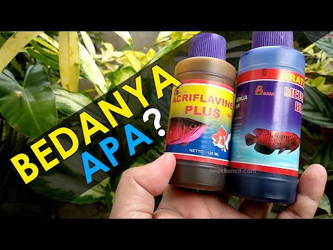 Video: Adakah acriflavine membunuh tumbuhan?