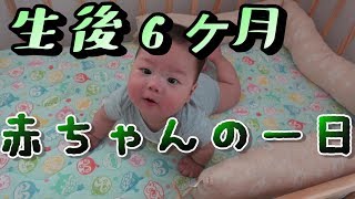 生後6ヶ月の赤ちゃんの一日の風景【がっちゃんくらぶ】A six months old baby.