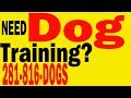 Dog Training| Therapy Dog Training| Service Dog Training| Search Rescue Dog Training|Houston TX Dog Training| Therapy Dog Training| Service Dog Training| Search Rescue Dog Training|Houston TX