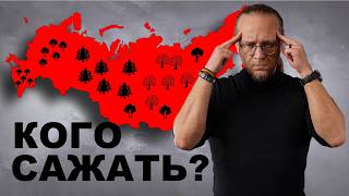 ТОП-5 Растений для всей России // Ландшафт загородного участка 2025