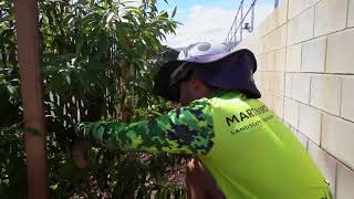 Charter Hall - Darra