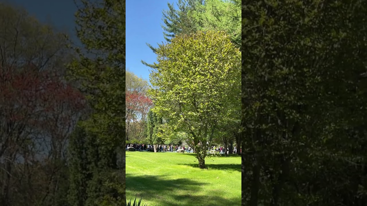 6 de mayo de 2023short video de Fátima Shrine en Holliston Massachusetts