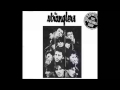 The Stranglers - Radio 1 Session 1982  (HQ Audio Only)