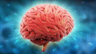 what is conscious and subconscious mind???|get knowledge of world