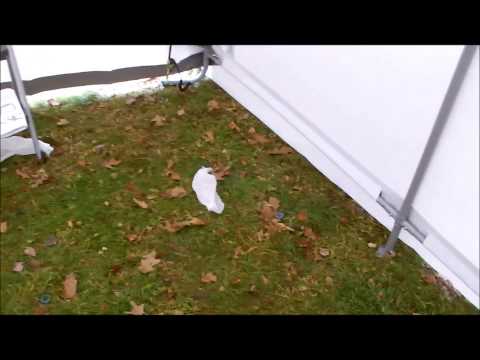 how to clean snow off shelterlogic portable tarp garage