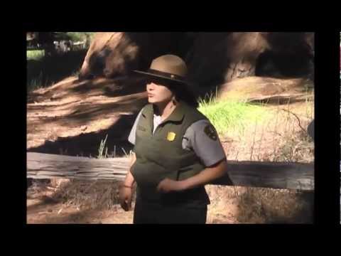 Mighty sequoias of Yosemite with Edgerton's Group Travel and speaker Charlie Adams