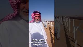 ختامي مهرجان قناة الوسطى للهجن