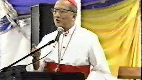 ĐHY Phanxicô Xaviê Nguyễn Văn Thuận Missouri 1995 Tập 1