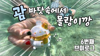 괌🏝️바닷속에서 몰랑이 깡👊🏻 6th VLOG [ 말랑이랑 ]