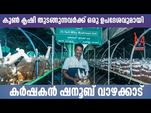 Koon krshi ( കൂൺ കൃഷി തുടങ്ങുന്നവർക്ക് ഒരു ഉപദേശവുമായി. കർഷകൻ ഷനൂപ് വാഴക്കാട്...|shanoob vazhakad |