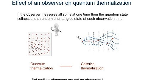 Phases and phase transitions of information flow in quantum circuits