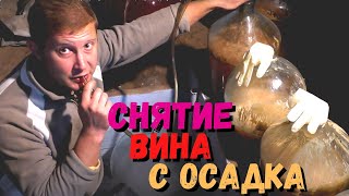 Первое снятие белого вина с осадка | Переливка вина | Первая дегустация вина