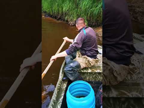 рай для мужика.