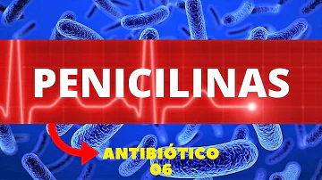 Qual é o microrganismo usado na produção do antibiótico penicilina?