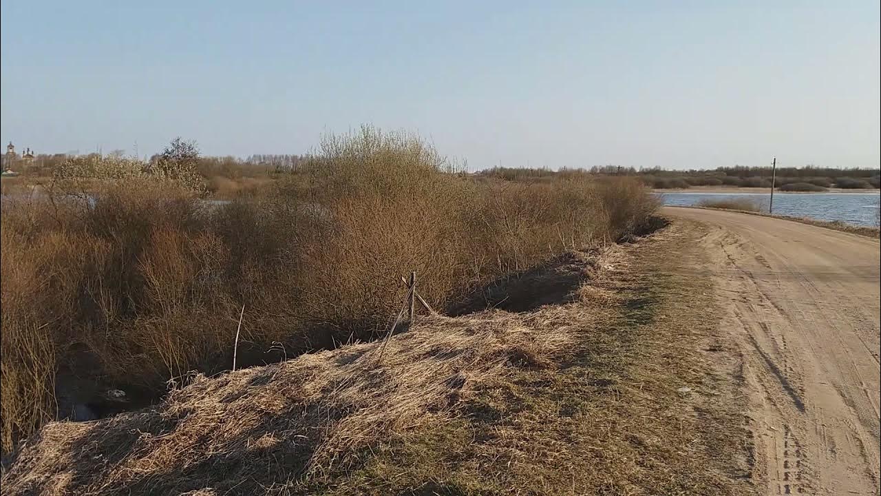 Уровень воды в реке молога. Молога маловодье 2018. Молога сейчас 2021. Леонтьевское Молога. Разлив в Борисоглебске 2023 года.