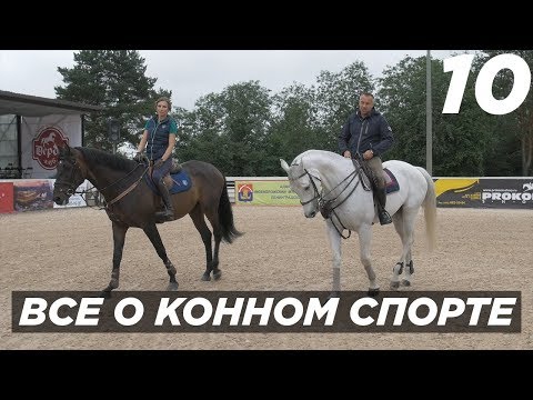 Видео: Верховая езда – это спорт?