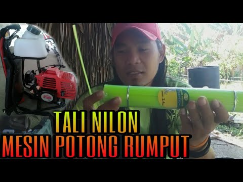 Tali mesin rumput