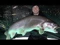 Ice Fishing Monster Lake Trout