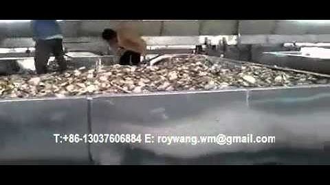 cassava chips dry production line1