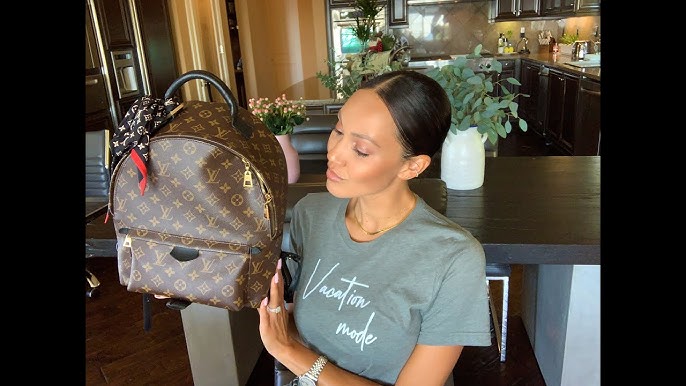 WIMB Diaper Bag  Louis Vuitton Palm Springs MM Backpack 