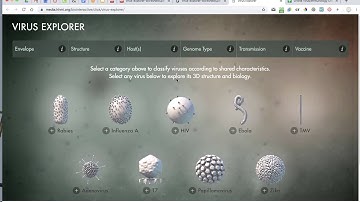 Open PDF in Doc Hub to fill in and submit in Canvas