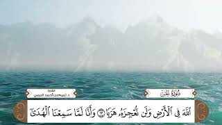 سورة الجن بصوت القارئ د. تميم بن أحمد الريمي