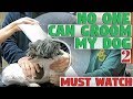 No One Can Groom My Dog 2