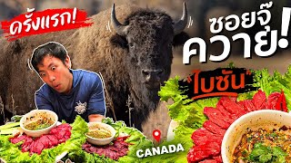 วิถีอีสานซอยจุ๊เนื้อควายไบซัน!? ทัวร์เมือง Montreal รสชาติเกินคาด!! [สาระตั้ม-Thumbntk]