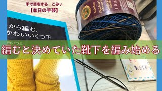 編むと決めていた靴下を編み始める【本日の手芸】today's handicraft