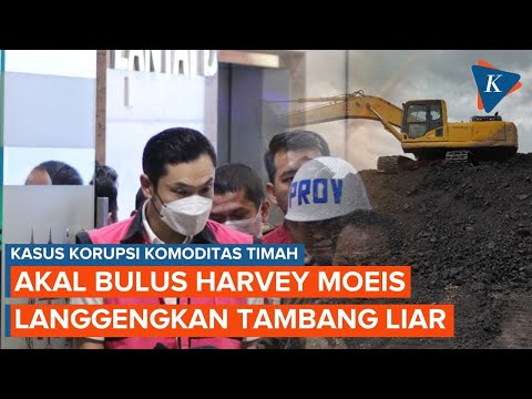 Peran dan Akal Bulus Harvey Moeis dalam Kasus Korupsi Komoditas Timah