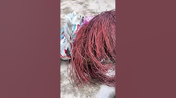 Tượng Phật A Di Đà ra đời từ đồng đỏ tinh khiết và lòng thành sâu nặng🙏