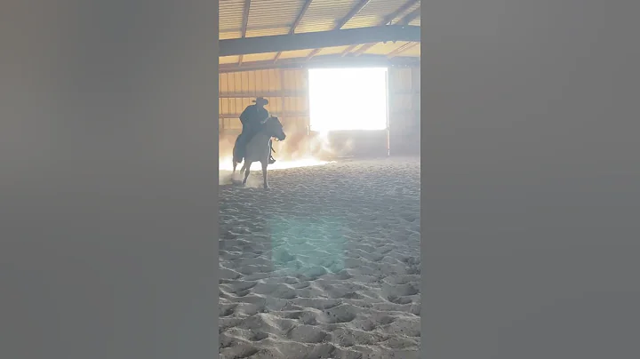 Bonnie -Handy Buckskin Mare